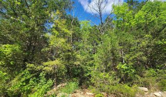 Strawberry Valley Road, Ash Flat, AR 72513