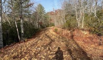 Tobacco Branch Road lot # 2, Almond, NC 28702