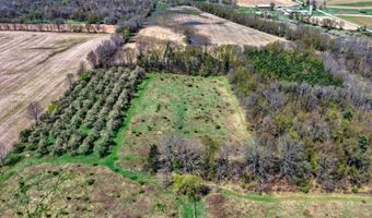 V/L W Chicago Road, Allen, MI 49227