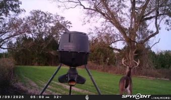 1228 River Rd, Ariton, AL 36311