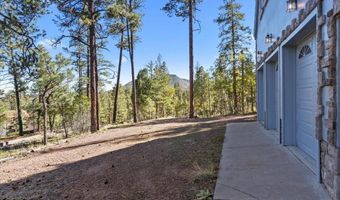 12 County Rd 2074, Alpine, AZ 85920