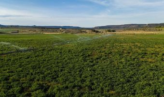 777 County Road 977, Arboles, CO 81147