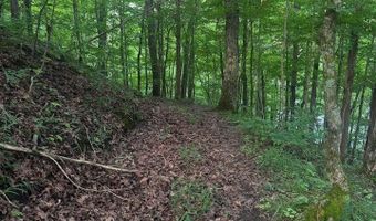 Hunter Ridge Road, Albany, KY 42602