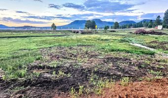 8 N COUNTY ROAD N2062 008, Alpine, AZ 85920