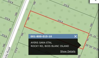 80001510 Rocky Rd, Bois Blanc, MI 49775