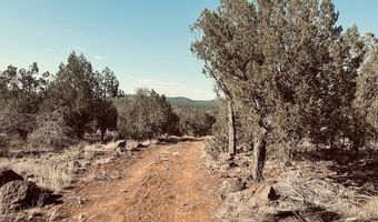 Terry Lane, Ash Fork, AZ 86046