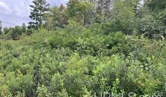 TBD Cable Lake, Amasa, MI 49903