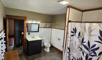 214 W Webster, Apple River, IL 61001
