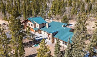 1227 Edgewood Rd, Alma, CO 80420