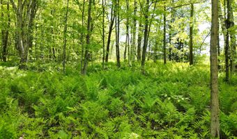 0 Danville Hill Rd, Cabot, VT 05647