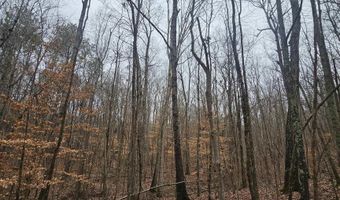13 Toney Drive, Altoona, AL 35952