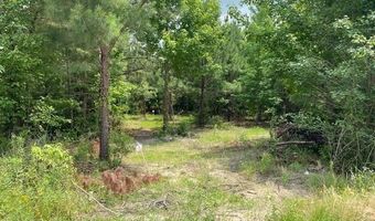 Lot 1-A Daniels Lane, Bennettsville, SC 29512