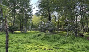 Lot 10 TWILIGHT Drive, Cresco, PA 18326