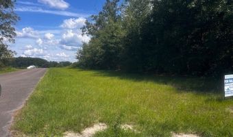 4899 36th St, Bell, FL 32619