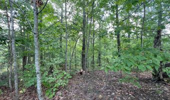 Bayside Boulevard lot 14, Bean Station, TN 37708
