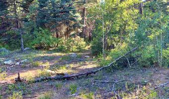 End of El Salto Road, Arroyo Seco, NM 87514