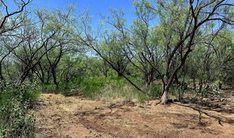 TBD East Tract County Road 356, Anson, TX 79501