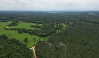19 43 Big Rocks Rd, Antlers, OK 74523