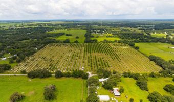 SW CARLTON Avenue, Arcadia, FL 34266
