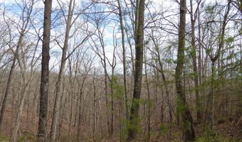 Bayside Blvd lot # 35, Bean Station, TN 37708