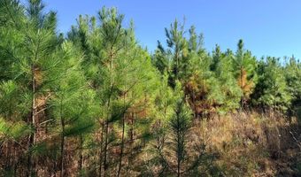 TBD US HWY 431, Abbeville, AL 36310