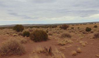 42 N5576, Concho, AZ 85924