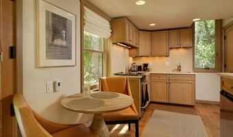 99 Shady Ln, Aspen, CO 81611