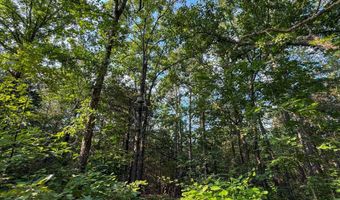 Old Moyers Road, Antlers, OK 74523