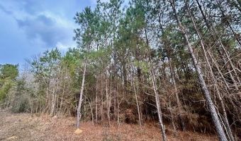 SE Lee Drive, Bogue Chitto, MS 39629