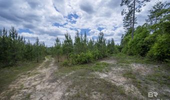 Phillipsville Road, Bay Minette, AL 36507