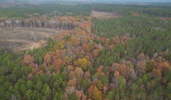 Highway 9N, Banner, MS 38913