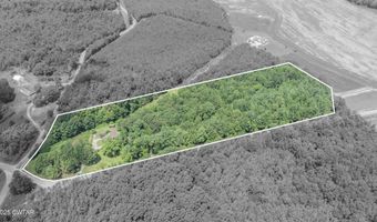 1510 Woodville Rd, Bethel Springs, TN 38315