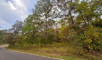Goodwin Cove lot 29, Ash Flat, AR 72513