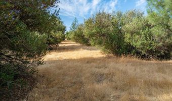 0 Sara Jane Ln, Anderson, CA 96007