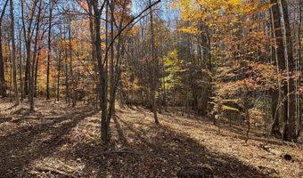 9- D Richmond Hwy, Amherst, VA 24521