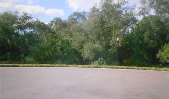 344 MYSTIC FALLS Dr, Apollo Beach, FL 33572