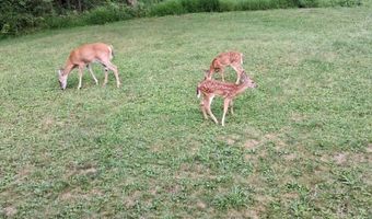 107 6th, Beaver, WV 25813