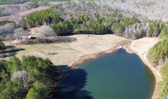 46088 HIGHWAY 77 Lot 0, Ashland, AL 36251