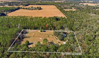 1349 27th Pl, Bell, FL 32619