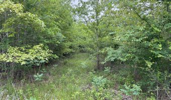 Rains County Road 2610 lot 25, Alba, TX 75410