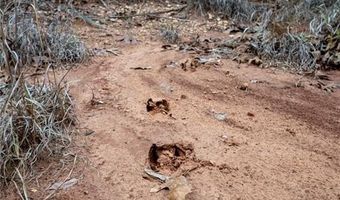 Tract 4 Acme RD, Asher, OK 74826