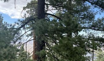636 Mountain Center 35-0002, Mountain Center, CA 92561