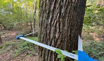 0 Military Rd, Beaverton, AL 35544