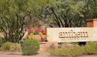 2450 W TURTLE HILL Dr, Anthem, AZ 85086