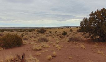 42 N5576, Concho, AZ 85924
