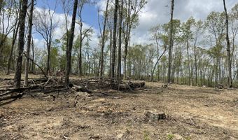 State Hwy N Tract G, Ava, MO 65608