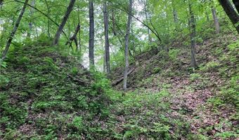 N3953-201 Bear Pen Road, Arkansaw, WI 54721