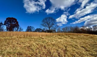 1520 Brittontown Rd, Afton, TN 37616
