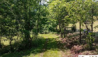 132 Jason McCall Cemetary Rd Lot 2, Balsam Grove, NC 28708