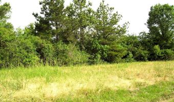 118 LR 27, Ashdown, AR 71822